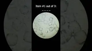 What's under the microscope? 
