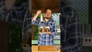 Лучшая рыба холодного копчения - Скумбрия