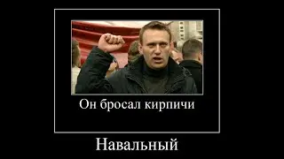 Навальный бросал кирпичи
