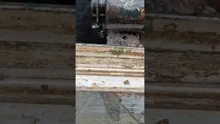 ч.2 Помощник с лапками или зачем осматривать машину перед выездом.