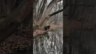 Бушкрафт в Чечне