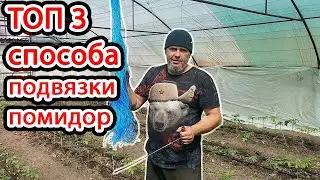 3 ЛУЧШИХ СПОСОБА Подвязки Помидор в теплице