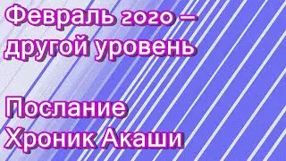 🔹Февраль 2020 — другой уровень. Послание Хроник Акаши.