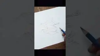 easy bird 🐦 drawing #drawing #youtubeshorts #art