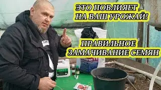 ЭТО УВЕЛИЧИТ ВАШ УРОЖАЙ! ПРАВИЛЬНОЕ ЗАМАЧИВАНИЕ СЕМЯН ПЕРЕД ПОСЕВОМ