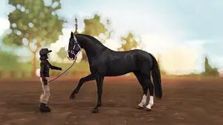 Обновление | Покупка новых лошадей | Star Stable Online