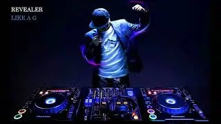 Revealer - Like A G