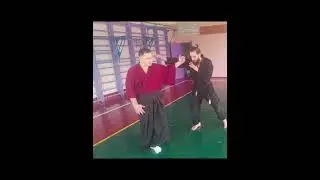 Гикан рю Кото рю коппо дзюцу