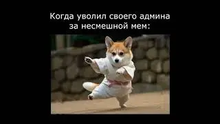 этот мем поймут только избранные фаны Брайна 😂😂😂
