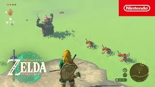 Irrknospen einsetzen – The Legend of Zelda: Tears of the Kingdom