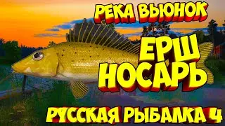 русская рыбалка 4 - Ёрш Носарь река Вьюнок - рр4 фарм Алексей Майоров russian fishing 4
