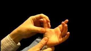 Пальчиковые игры - 4: "Этот пальчик - самый толстый..." Развивающее обучающее видео для детей