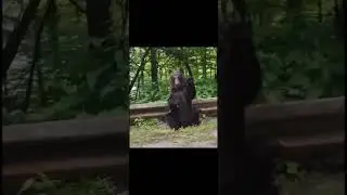 Freddy fazbear mem мем 