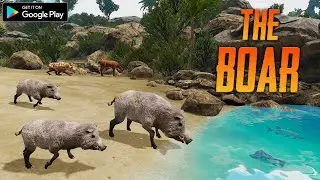 The Boar   Animal Simulator