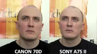Sony a7S II vs Canon 70D (Sharpness/ Detail Test)