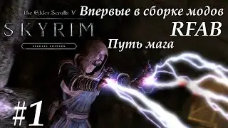 TES 5 Skyrim сборка RFAB стрим #1