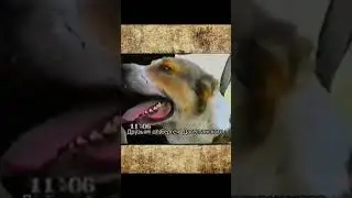 Туркменистан