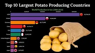 Top 10 Largest Potato Producing Countries in the World 1960-2020