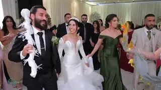 Alan George Live Wedding 2024  ألن جورج حفلة زواج
