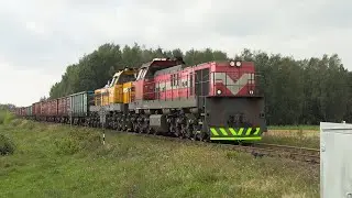 Тепловозы ТЭМ ТМХ-064+049 / TEM TMH-064+049 between Radviliškis and Pakruojis