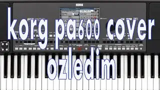 ozledim korg pa600 cover