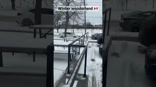 Beauty of winter’s 🇨🇦❄️🍁⛄️ #canada #canadalife #canadian #toronto #torontocity