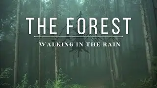 The Forest | Walking in the rain