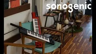 Other functions: SHS-500 Video manual