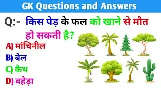 25 Fun and Interesting General Knowledge Questions | GK Quiz 2024 | Hindi GK #gk