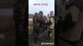 Састизани Тульских подсадных уток 2019