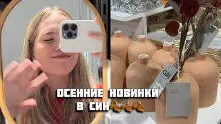 СИН НОВИНКИ🔥 ОСЕНЬ 2024 | ВЕЩИ ИЗ ПИНТЕРЕСТ