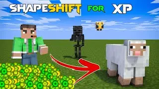 Minecraft, But You Randomly Morph Every Time You Get XP. | Minecraft In Telugu | GMK GAMER