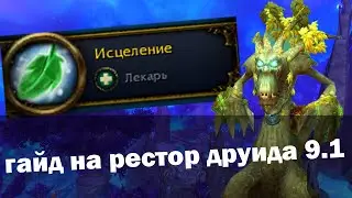Гайд на Рестор Друида | Друид хилл 9.1 Святилище Господства | World of Warcraft Shadowlands