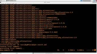 pkgsrc on Linux pt 1. Binary packages  ( Joyent)