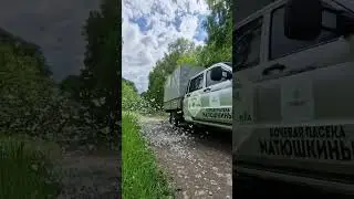 время бабочек