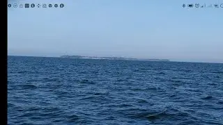 Островний облітник карніки. Острів Воронівка