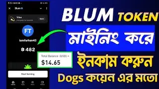 Blum টোকেন মাইনিং করে ইনকাম করুন! Dogs টোকেন এর মতো!