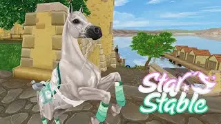 Покупаю нового АРАБА 🌺 Star Stable Online