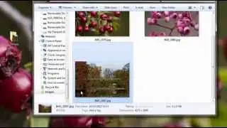 GIMP Tutorial - Watermark Photos