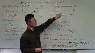 What are the Weil conjectures about?
