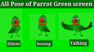 parrot green screen no copyright । parrot green screen। parrot green screen video।