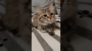 Стоит задуматься... 