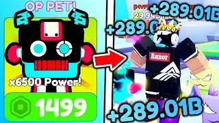 I Bought STRONGEST STAT PET and Became BEST LEADERBOARD PLAYER in Roblox AeroStride Simulator..