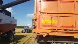Первые бункеры Николаевского района: пошло зерно!