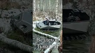 Вездеход Тьма-1М. Еду где хочу! #Shorts