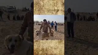 Туркменистан