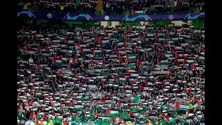 YOU WILL NEVER WALK ALONE! The meaning of solidarity with GAZA. #gaza #palestine #gazaunderattack