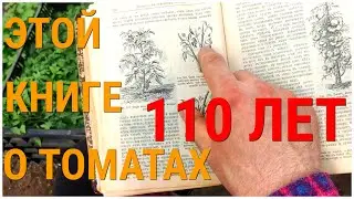 Помидоры 110 лет назад. Описание сортов, выращивание. Чтение с комментариями книги Р. Шрёдера 1909 г