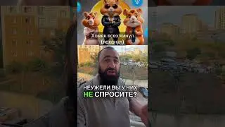 Хомяк Хамстер Скам Кинул Обманул Лохотрон #хомяк #hamsterkombat #рекомендации #рек #тренды #тренд