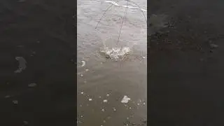 Поймал, отпусти!!!